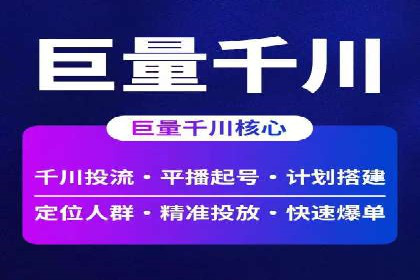 深入剖析SEM公司成功案例：数据驱动的广告策略
